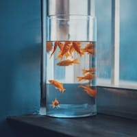 Ảnh đại diện người dùng Lan Hương